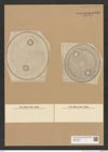 Diatomeae indet. Zeichnungen Sammlung Grunow Nr. 7965 (NHMW-BOT-W0377252)